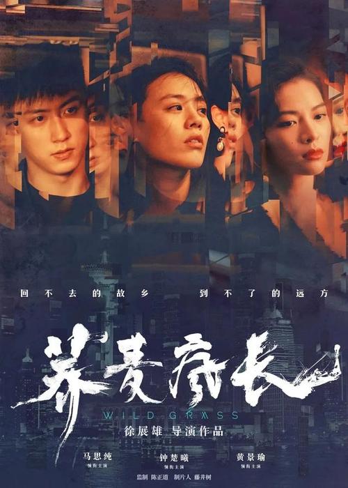 南卡罗莱纳州驾驶证怎么仿制